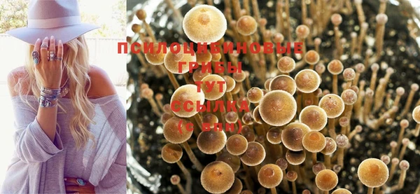 герыч Баксан