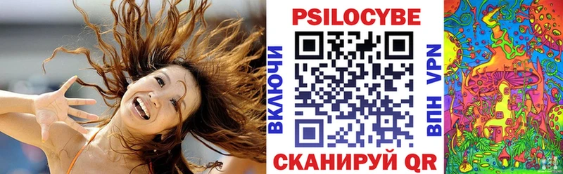 закладки Волхов МЕГА онион Псилоцибиновые грибы ЛСД