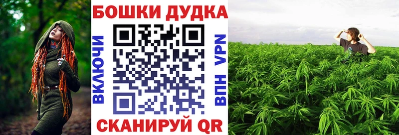 Бошки марихуана ГИДРОПОН  дарк нет Telegram  Волхов 
